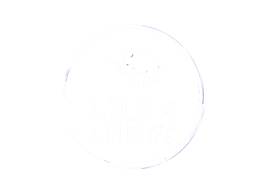 Wild 4 Wildlife